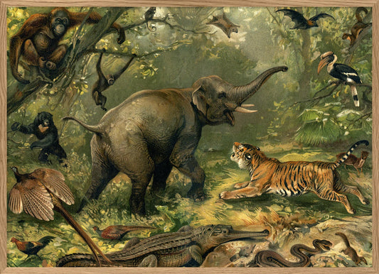 Dyb. Elefant im Urwald mit Tiger
