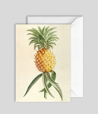 Dyb. Karte Ananas