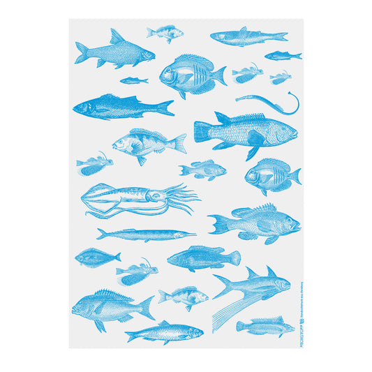 Froh. Papier Fisch blau