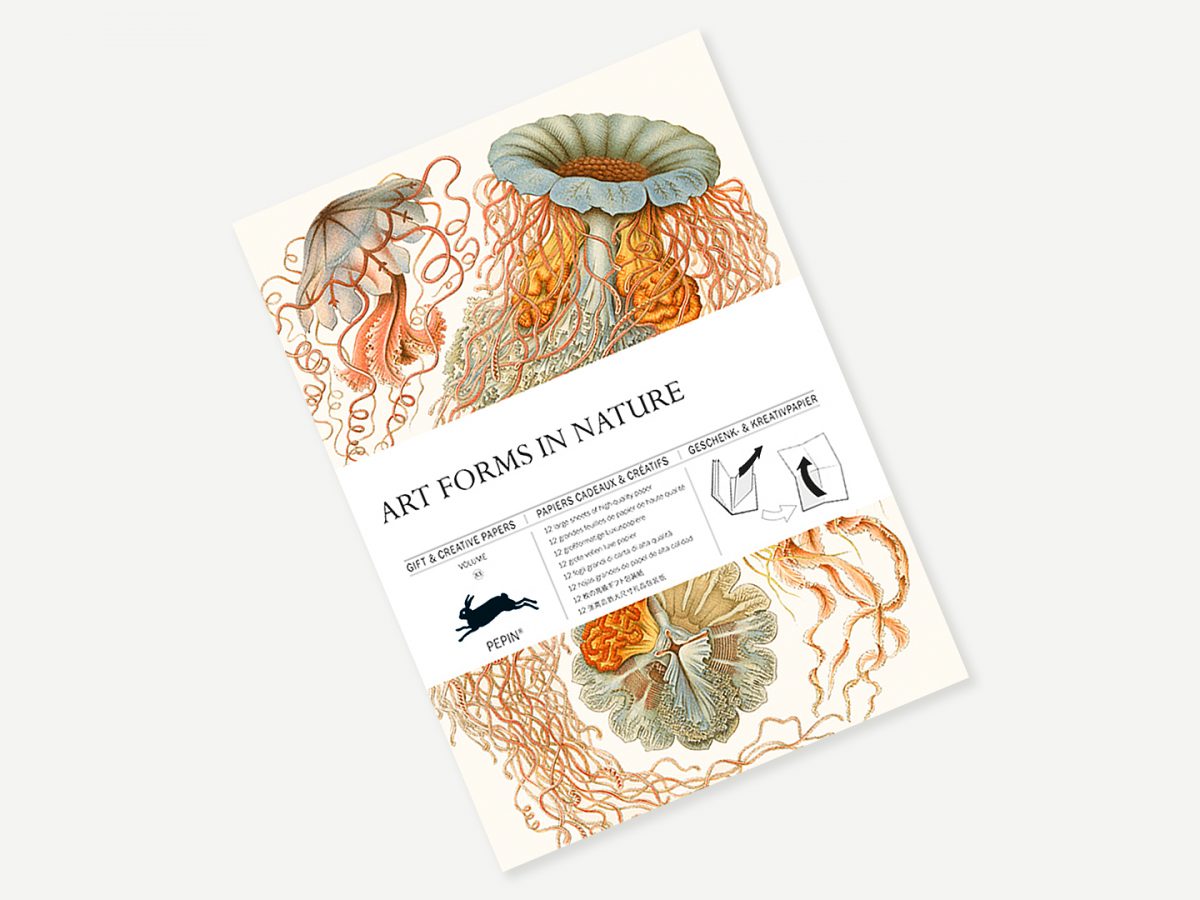 Pep. Papier Art Forms in Nature