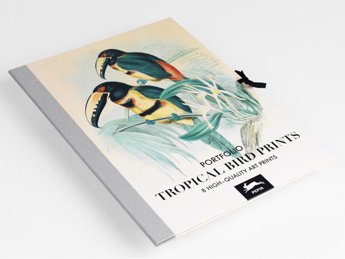 Pep. Portfolio Tropical Bird Prints
