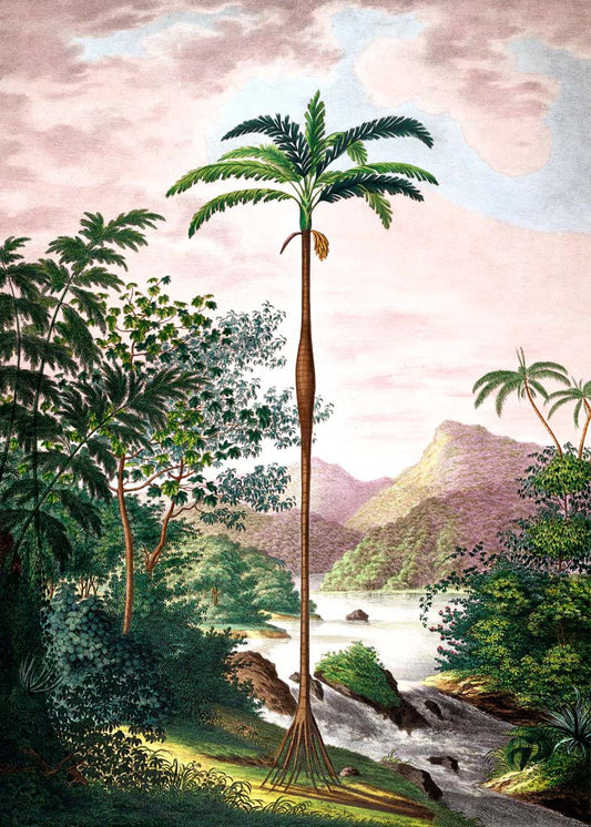 Dyb. Jungle Scenery