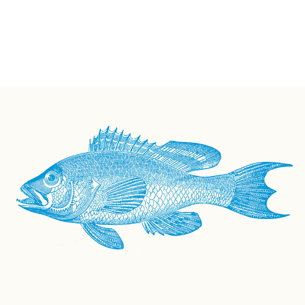 Froh. Karte Fisch blau