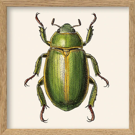 Dyb. grüner Käfer 15x15