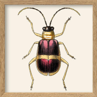 Dyb. Insekt 15 x 15
