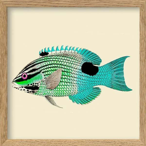 Dyb. Miniprint Fisch Türkis