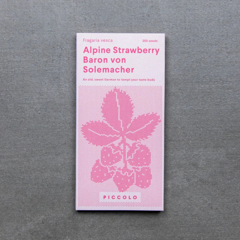 piccoloseeds Alpine Strawberry Baron von Solemacher