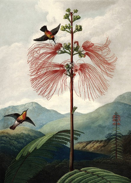 Dyb. Tree of Flowers